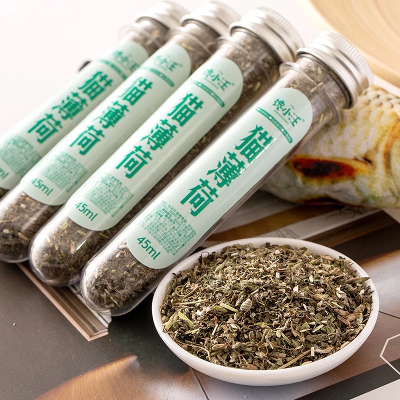 Catnip cho mèo, cỏ bạc hà cho mèo, cải thiện tiêu hóa [PD PET]